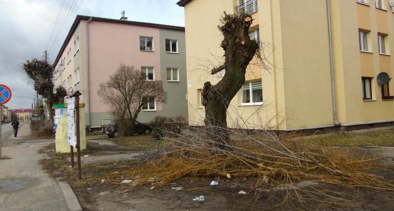 Sterczące kikuty i gałęzie na chodnikach