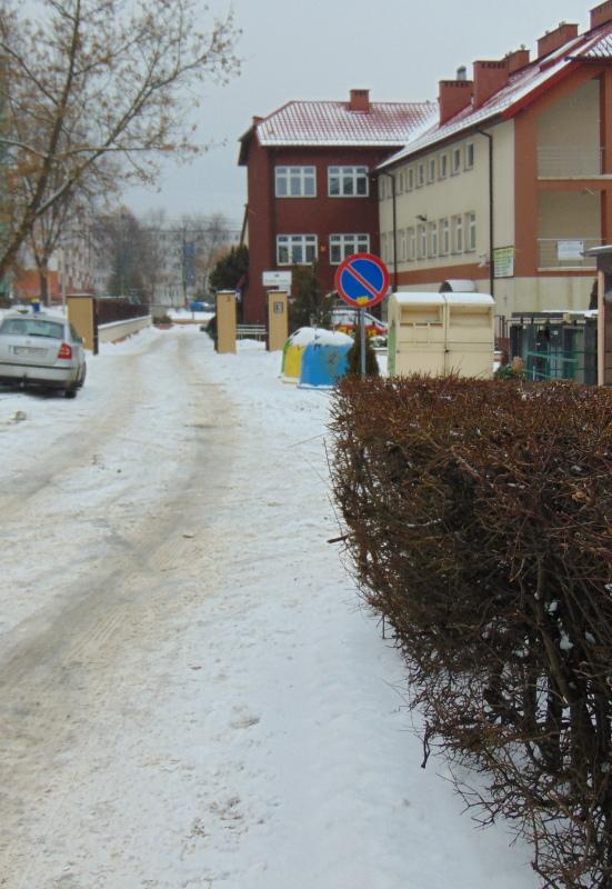 Zniknie żywopłot?