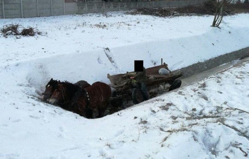 Wyobraźnia wyparowała z alkoholem?