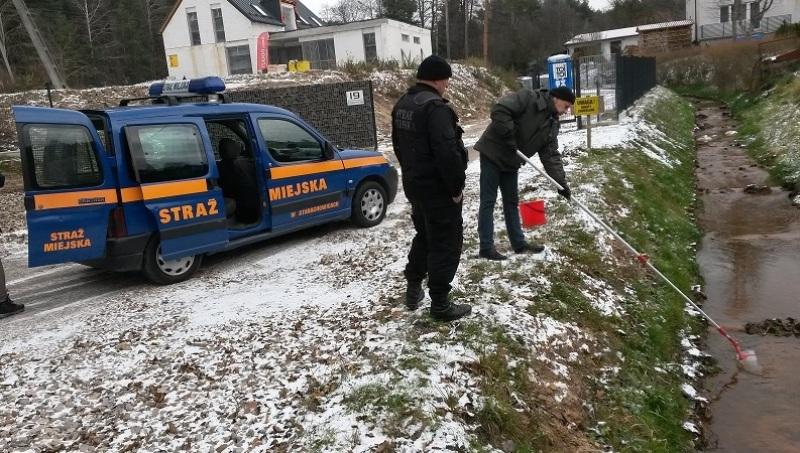 Wysokie stężenie E.coli w Młynówce. Poszukiwany winowajca