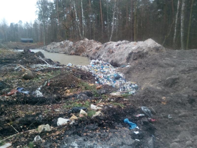 Kto truje ludzi i środowisko?