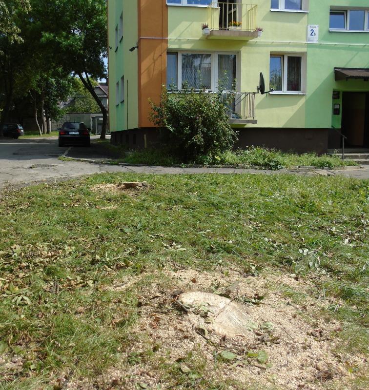 Nie wycinajmy drzew...