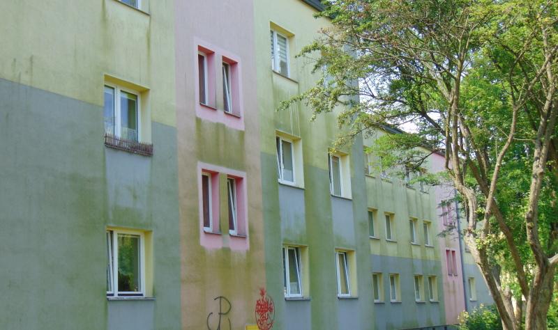 Zielony nalot szpeci budynki