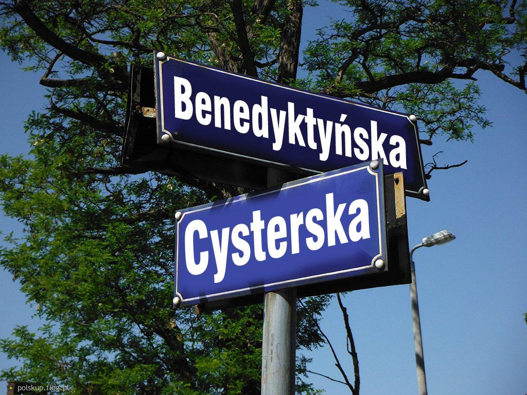 Kogo wybrać na patronów naszych ulic?