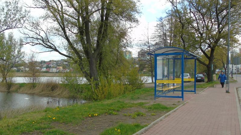 Pasternik jak na widokówce