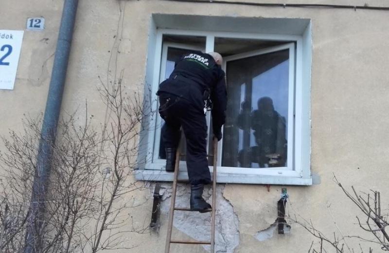 Straż Miejska uciążliwego ma na tapecie