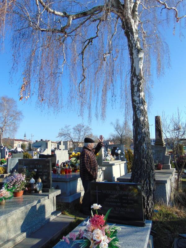 Drzewa nie dają spokoju