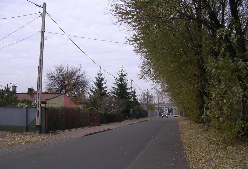 Liście nie dają spokoju
