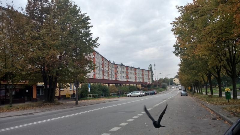Będzie przejście dla pieszych!