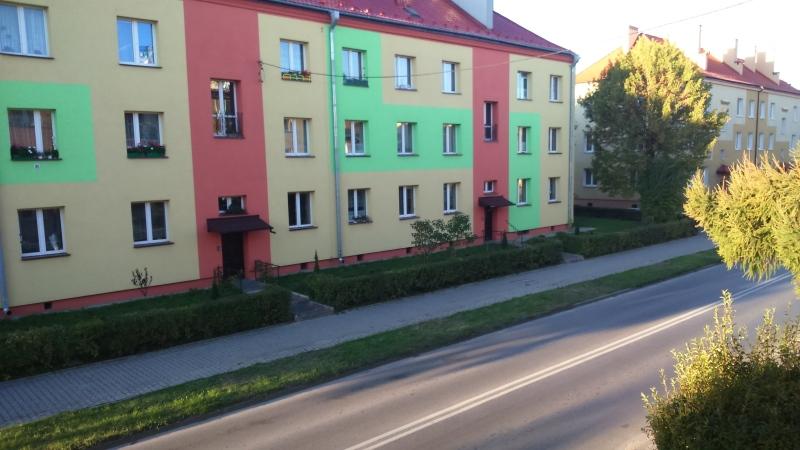 Krzaki były i nie ma