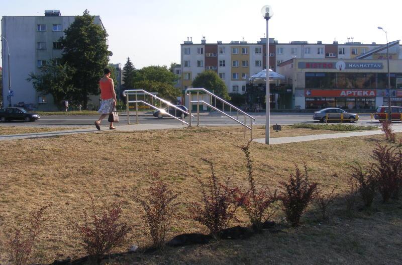 Krzaki uschły, drzewka zmarniały