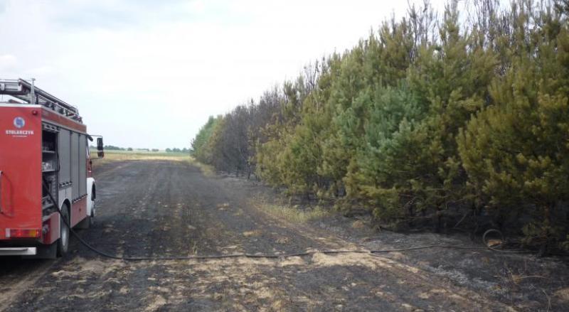 Walka z żywiołem kosztowała ich wiele