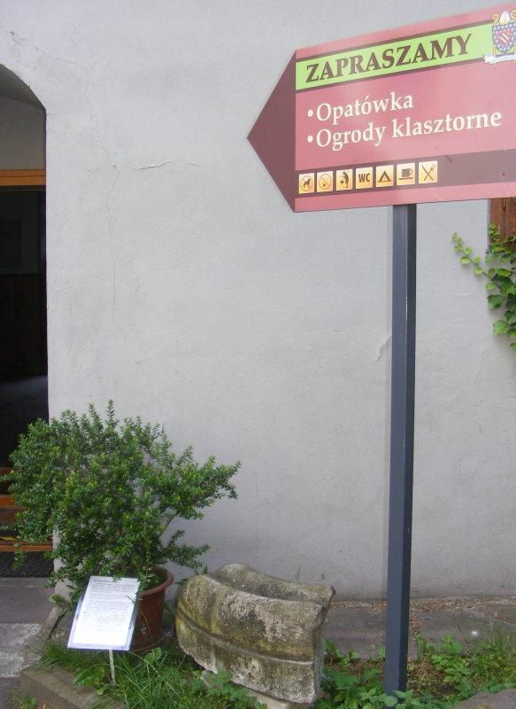 Biblijne rośliny
