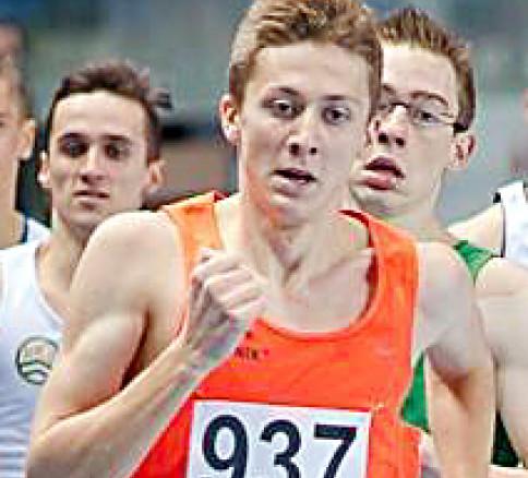 Brązowy Mateusz
