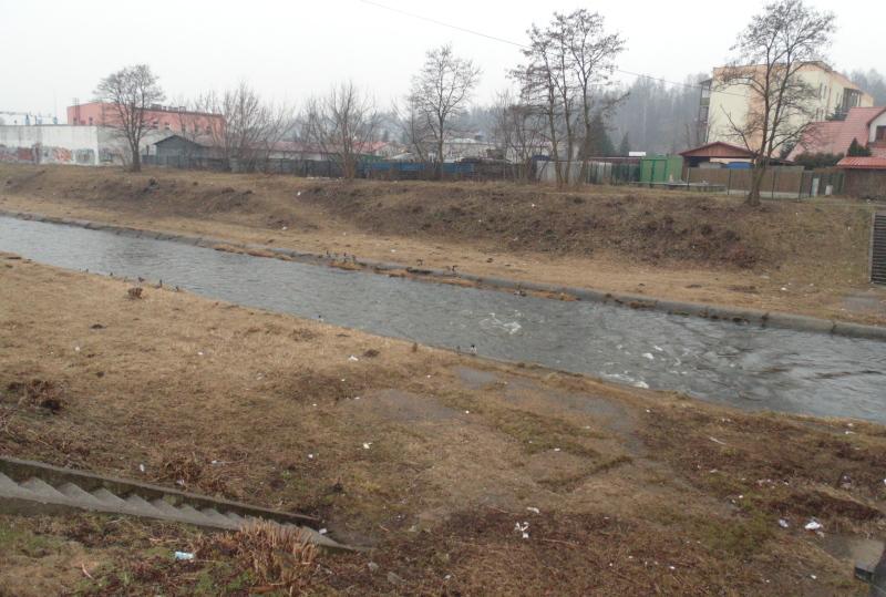 Śmietnik koło Kamiennej
