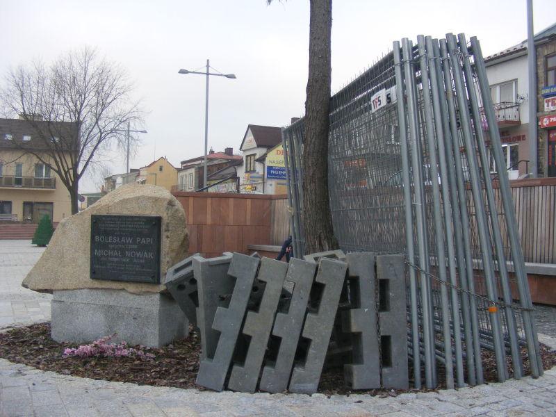 Wierzba zagrożona?