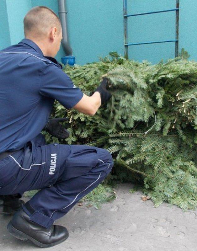 Stroisz do leśników, grzywna dla przewoźników?
