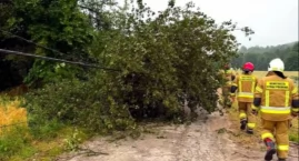 Ponad sto interwencji po nawałnicy. Strażacy podsumo&hellip;