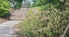  Gałęzie blokują jedyny podjazd. Mieszkańcy: Musimy &hellip;