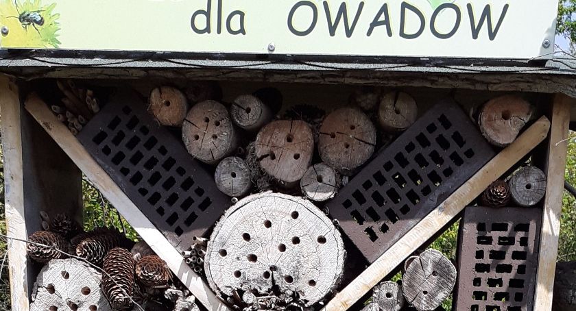 Rolniku, sadowniku nie truj pszczół
