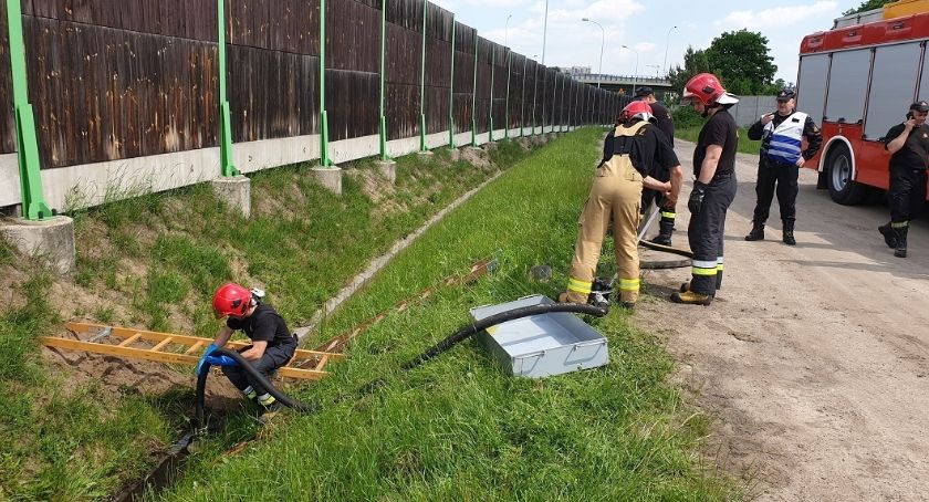 Oni czuwają nad naszym bezpieczeństwem ekologicznym