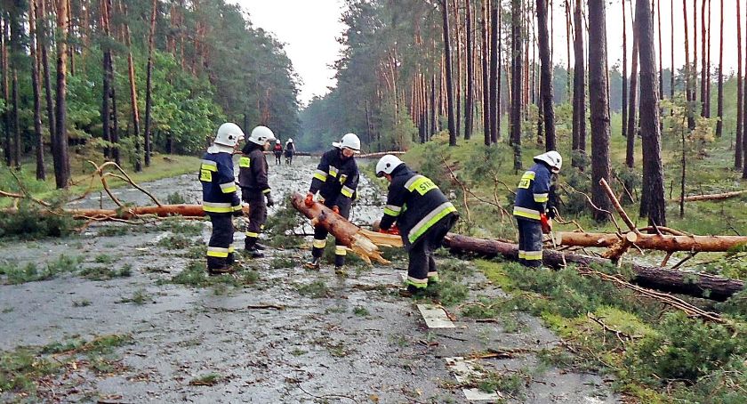 Wiatr przewracał drzewa