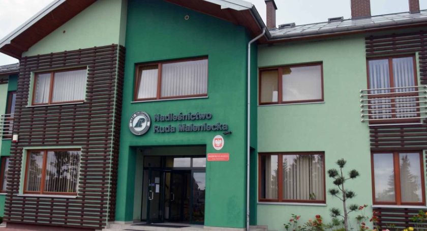 Nadleśnictwo Radoszyce, a nie Ruda Maleniecka