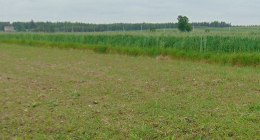 Najlepszy czas na wapnowanie gleby