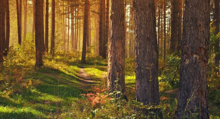 Dzień Dzikiej Flory, Fauny i Naturalnych Siedlisk