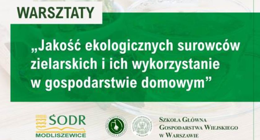 Ośrodek w Modliszewicach zaprasza na bezpłatne warsztaty zielarskie