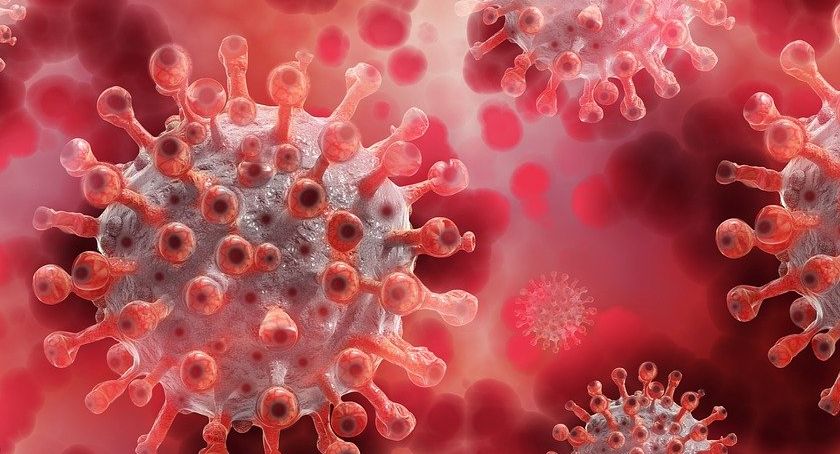 Epidemia trwa. Kilkudziesięciu nowych zakażonych w powiecie koneckim
