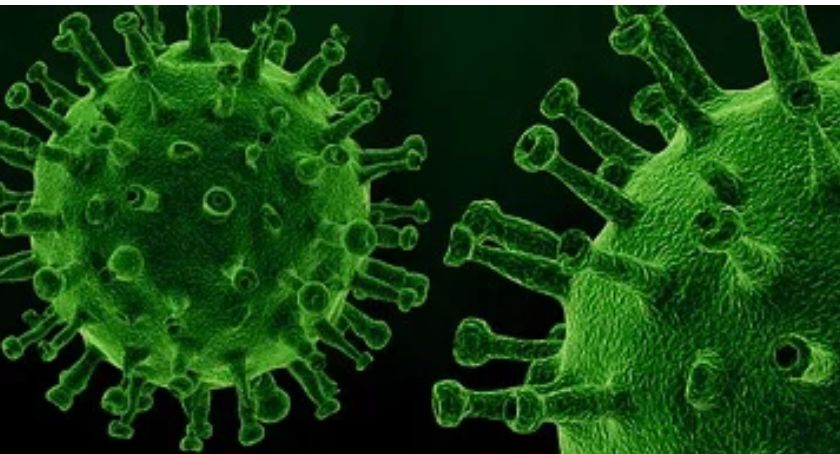 Koronawirus. Wzrost liczby hospitalizowanych, mniej osób z powiatu koneckiego na kwarantannach