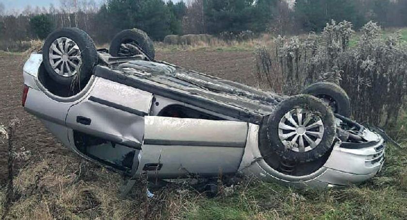 GMINA RADOSZYCE. Stado jeleni wybiegło przed opla. Dwa zderzyły się z autem
