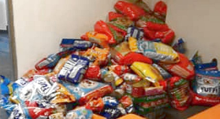 W stąporkowskiej „dwójce” uczniowie uzbierali setki kg karmy dla psów i kotów