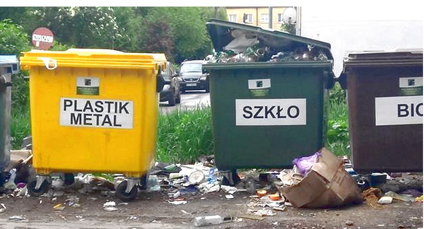 Czytelniczka TYGODNIKA pyta: Mam te śmieci wywozić do lasu?