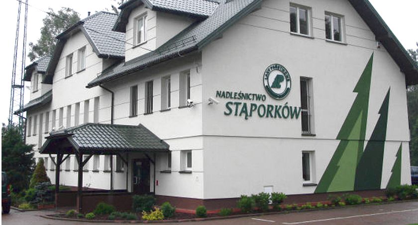 W Nadleśnictwie Stąporków snują bardzo ambitne plany. Jakie?