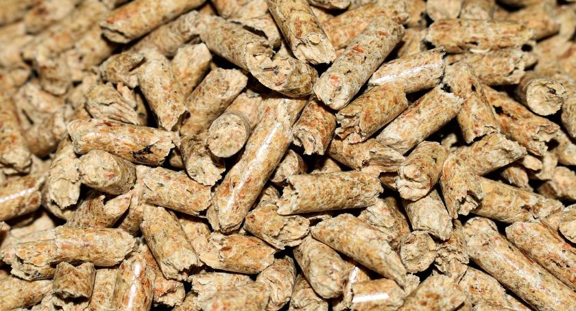 KOTŁY NA PELLET DRZEWNY NAJLEPSZĄ ALTERNATYWĄ DLA EKOLOGICZNEGO OGRZEWANIA