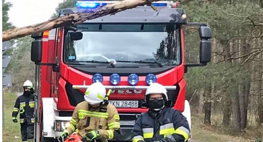 RUDZISKO, ADAMEK. Wiatr powalił drzewa na drogi