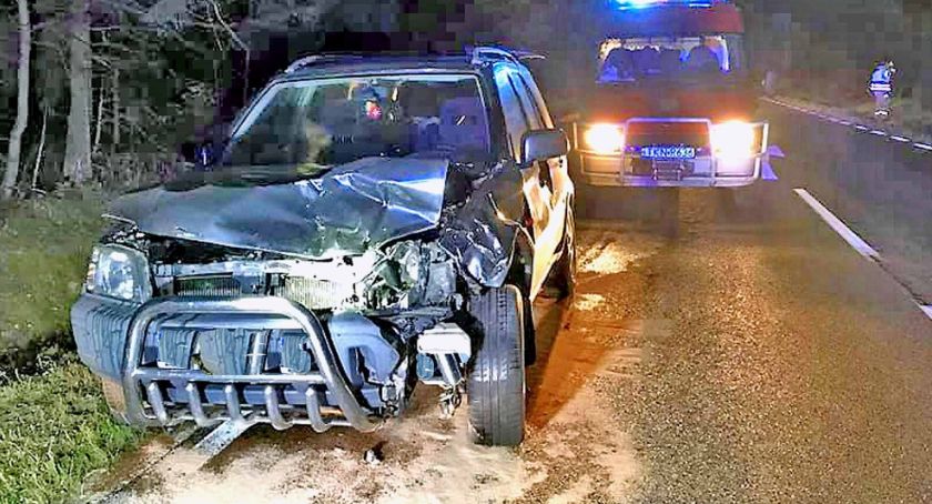 W Dębie zwierzę wtargnęło na drogę wprost przed jadące auto