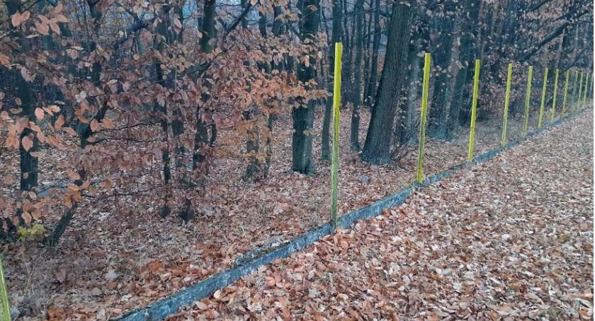 W gminie Stąporków złodzieje łaszą się na wszystko. Wandale też się pojawili [ZDJĘCIA]