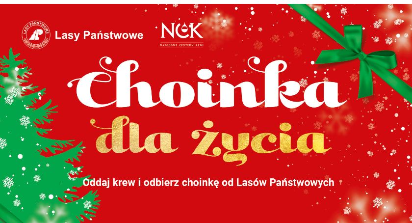 Koneccy honorowi dawcy krwi otrzymają wyjątkowe podziękowanie