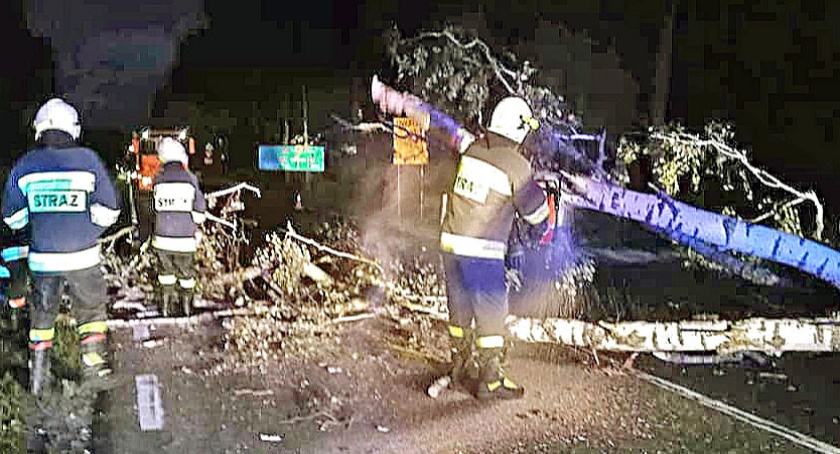 W Rudzie Pilczyckiej powalone drzewo zagrodziło drogę
