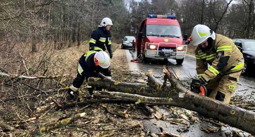 POWIAT KONECKI. Wichury sieją spustoszenie [ZDJĘCIA]