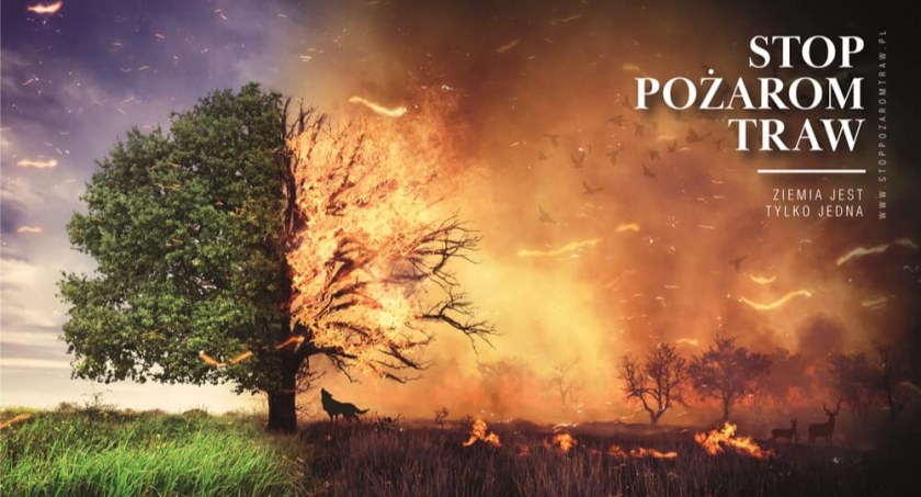 W Fałkowie mówią stanowczo: Stop wypalaniu traw!