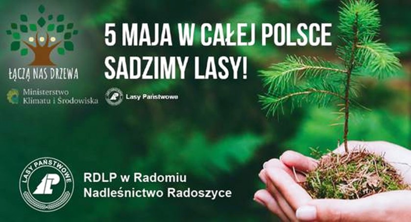 POWIAT KONECKI. Łączą nas drzewa. Posadzimy las!
