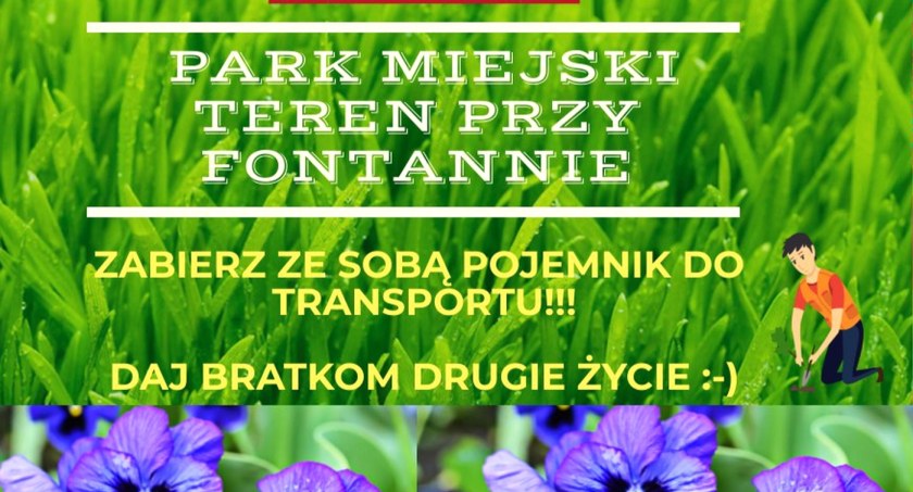 W koneckim parku będą czekać na ciebie zielone służby