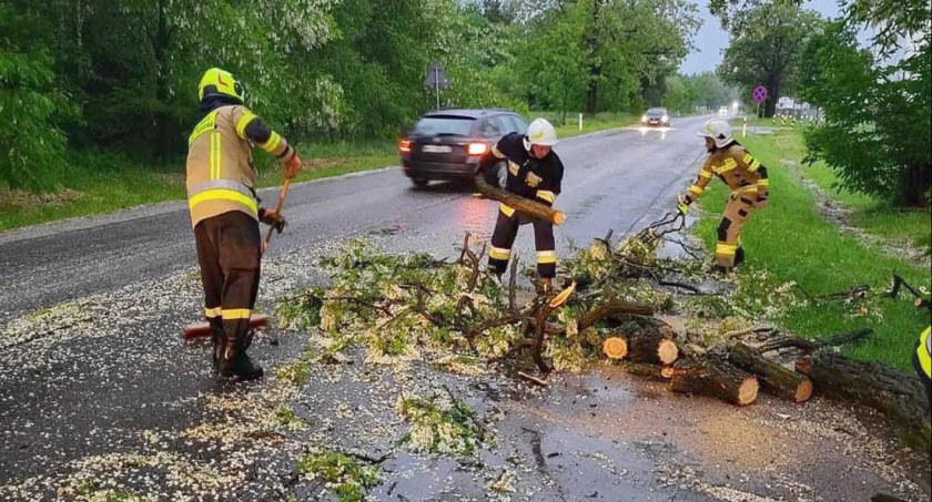 POWIAT KONECKI. Strażacy usuwali skutki nawałnicy