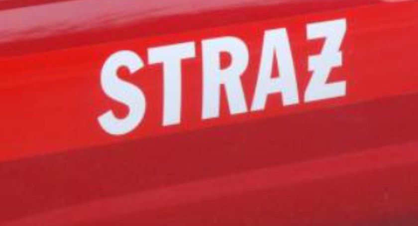 SWORZYCE. Wpadł kot do studni