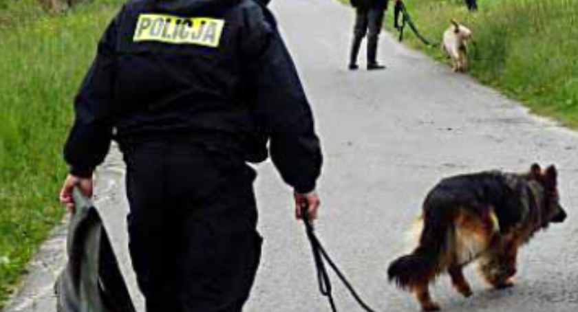Mężczyzna zaginął w lesie, odnalazł go policyjny pies