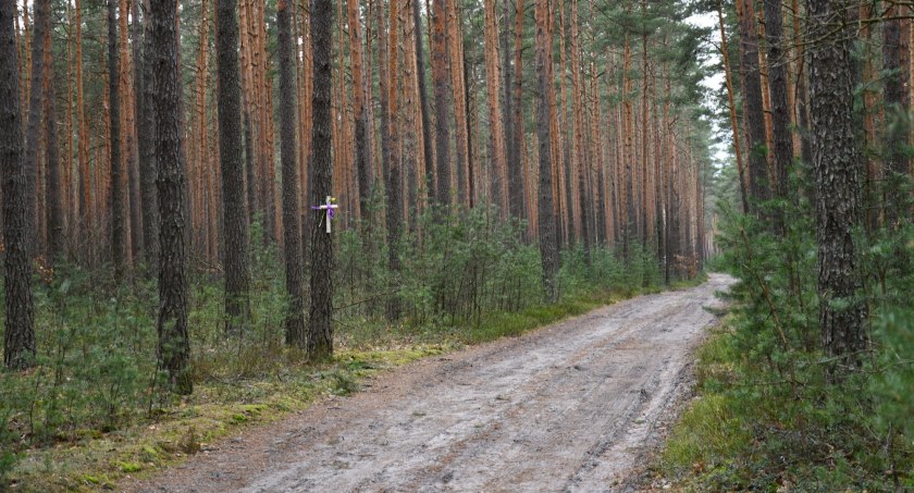 CZARNA. Wędrówka survivalowa na Dzień Ojca